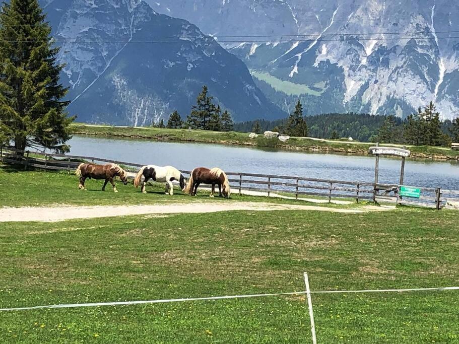 Sonniges Apartment In Seefeld Seefeld in Tirol Exterior foto